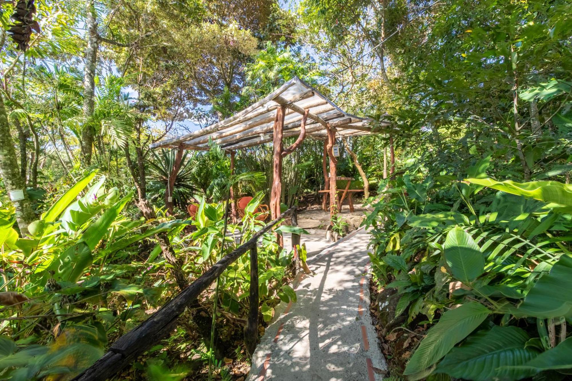 Hotel Claro De Luna Monteverde 외부 사진