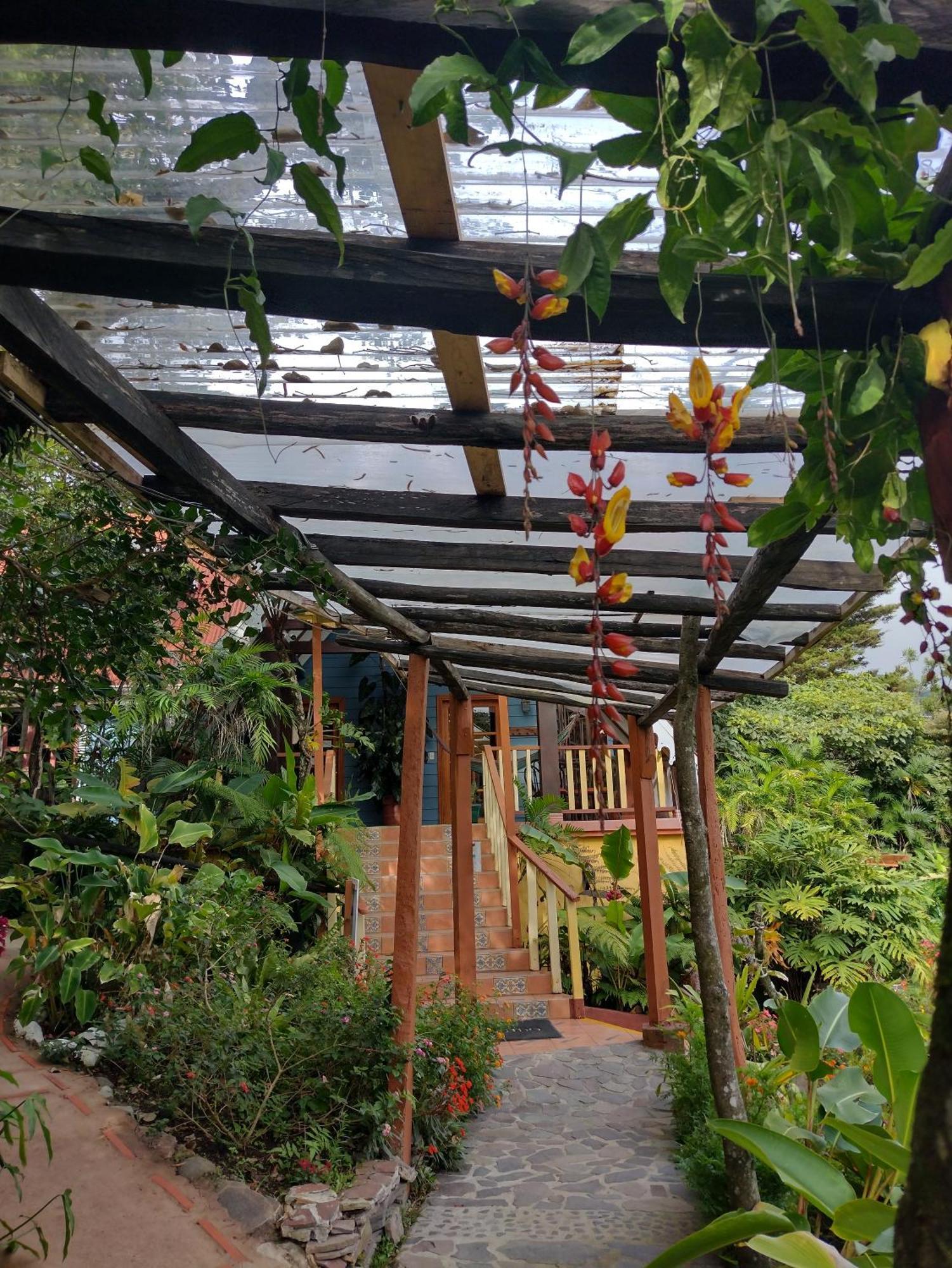 Hotel Claro De Luna Monteverde 외부 사진
