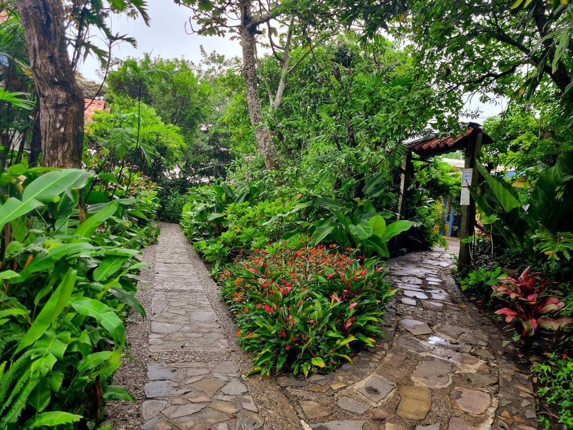 Hotel Claro De Luna Monteverde 외부 사진
