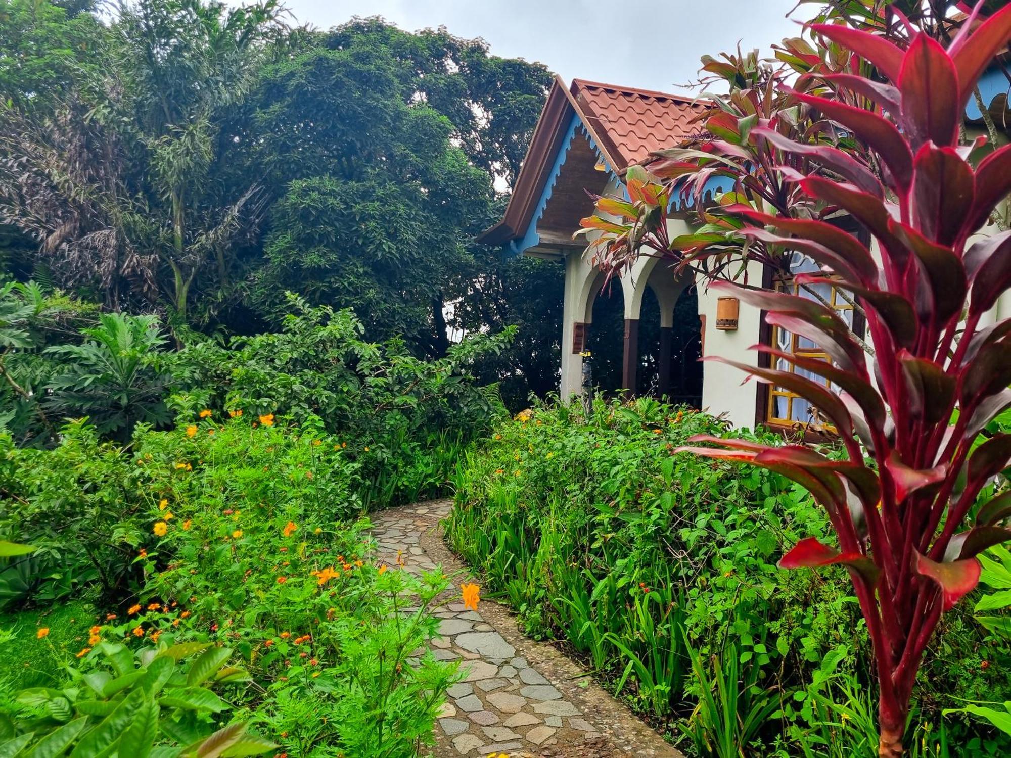 Hotel Claro De Luna Monteverde 외부 사진